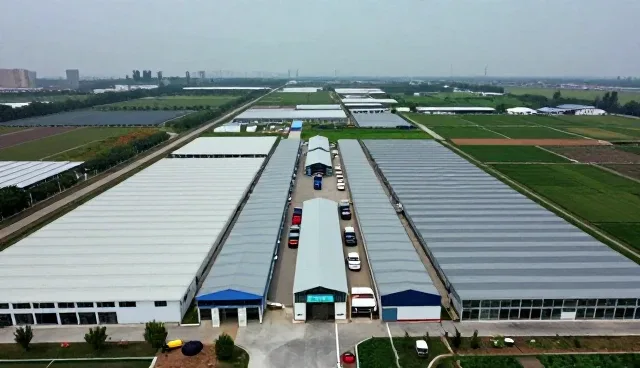 提升应用开发效率的关键：技术培训中的实践技巧